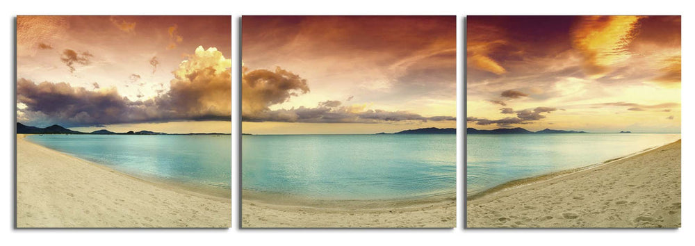 Cove of Color