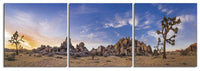 Desert Dreaming Joshua Tree