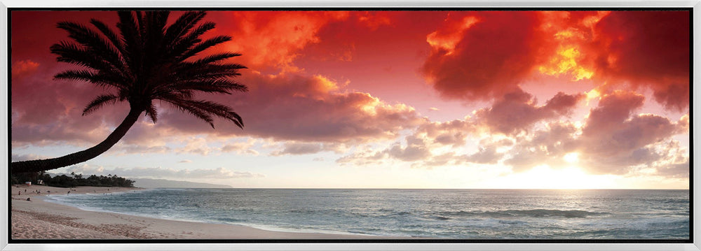 Oahu Palms