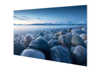 washed ashore